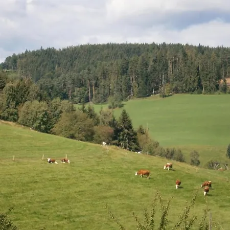 Landgasthof Berghof *