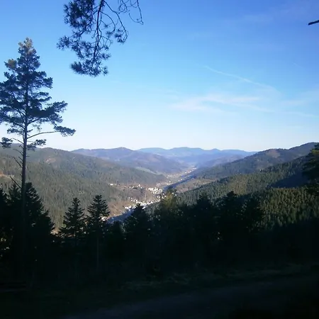 Landgasthof Berghof Affittacamere *